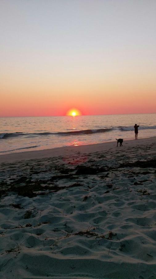 Ferienwohnungen "Weitblick" Und "Schwalbennest" Lodmannshagen Ngoại thất bức ảnh